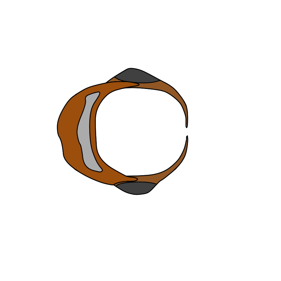HætteTrøjeOrangeGrå - Kopi